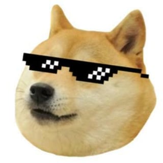 ImmortalDoge profile picture