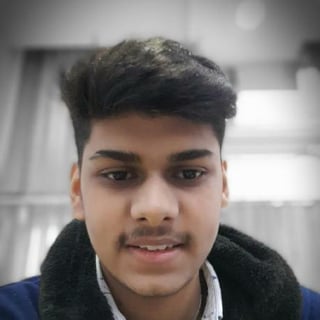 Lokesh Arora profile picture