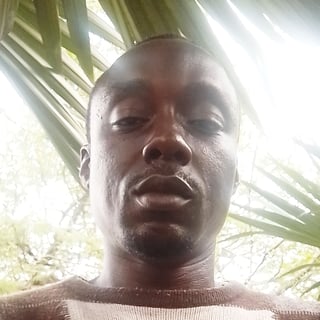 Afisunlu Dapo profile picture