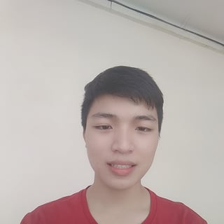 Toan Nguyen Truong profile picture