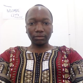 Christopher Chilengwe profile picture