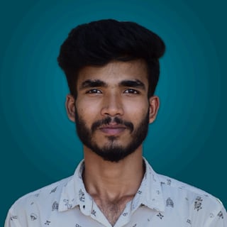 Mehedi H Roni profile picture