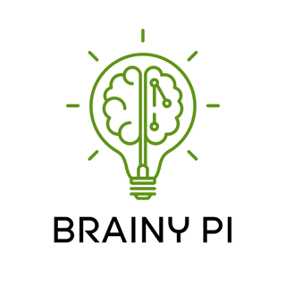 BrainyPi profile picture