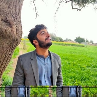 Zubair Niazi profile picture