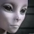 alansealy0914 profile image