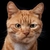 Sergey