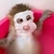 eliseu_cruz profile image