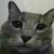 vybav profile image