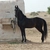 Saransh B