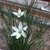 punarbasu_chakraborty_1bb profile image