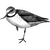 cathyclark profile image