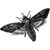 confdethebo profile image