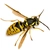 suren_enfiajyan profile image