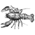 jeisser_lobo_f9d5bc601f13 profile image