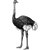 ollykevin profile image