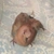 harsh_yadav_fd44830039096 profile image