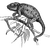 frraqw22 profile image