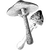pascualadom profile image