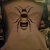 coastalbee profile image