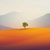 winbigfox profile image