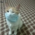 Badr