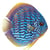 webdiscus profile image