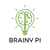 BrainyPi