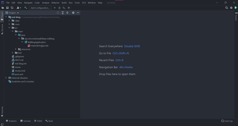 Project directory structure