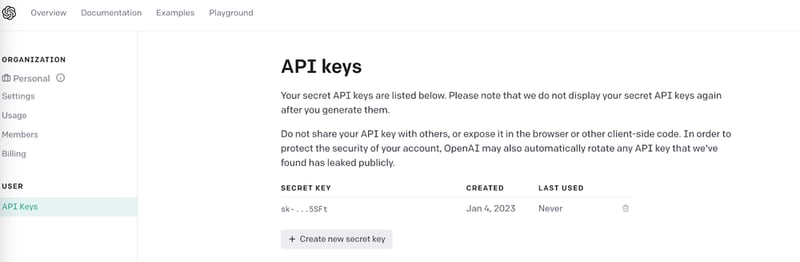 openAI API keys