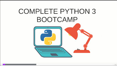 best course to learn Python on Udemy