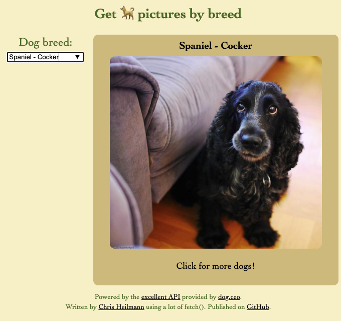 Dog browser Desktop version