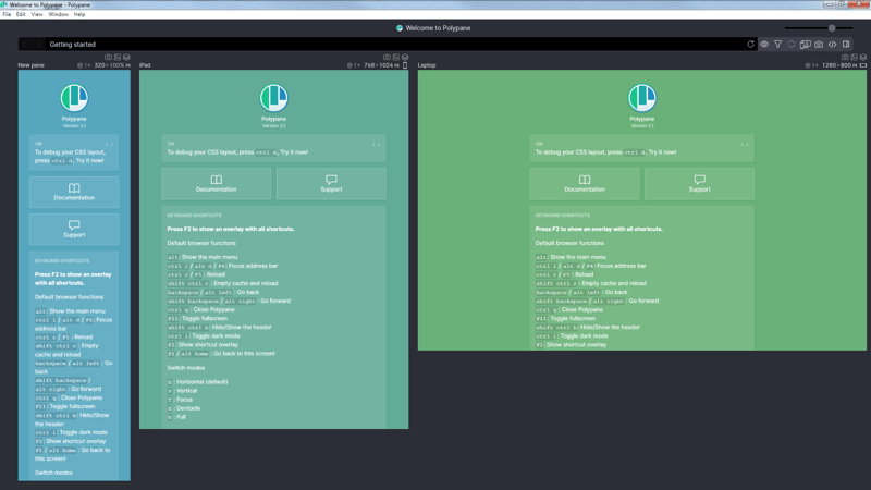 Polypane In Action