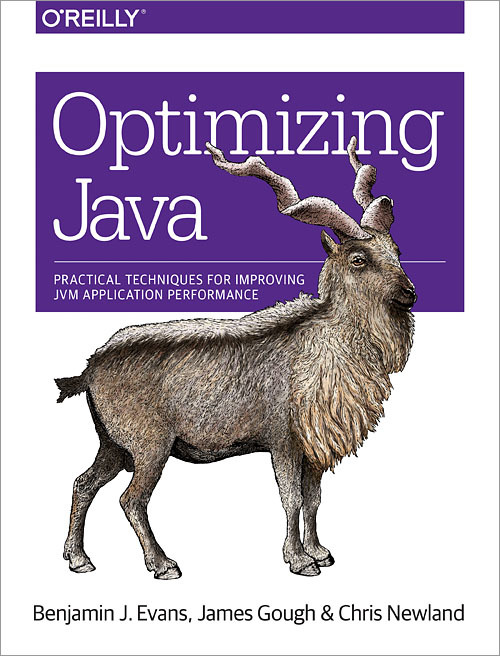 best book to learn JVM and Java performance