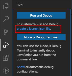 launch.json