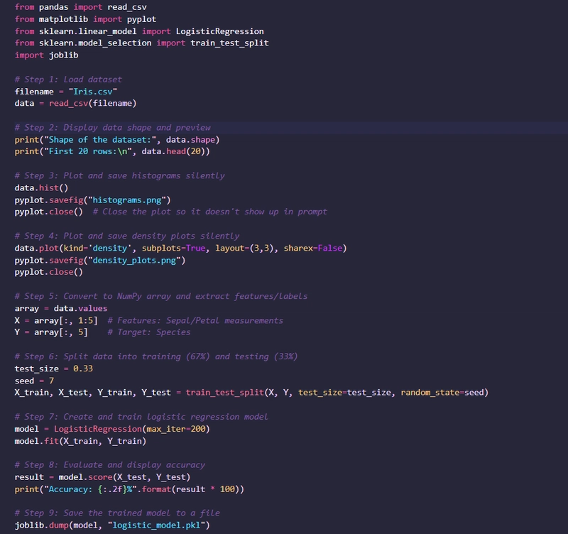 Creating a Docker Image and Pushing to DockerHub for a Python ML App