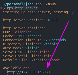 Output of command npx http-server