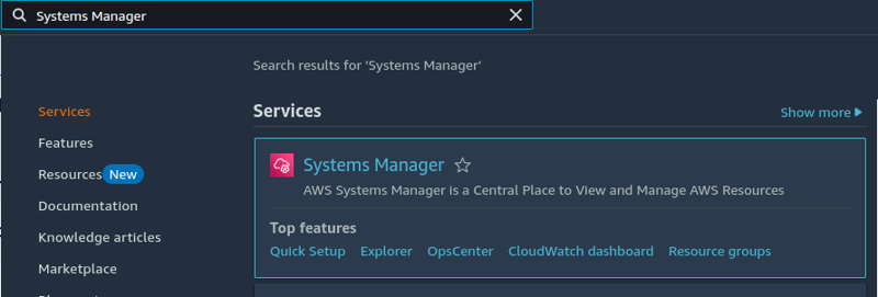 Systems Manager search result