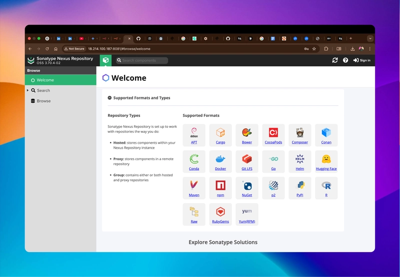 Setting Up Nexus Repository on AWS EC2 with Terraform and Publishing a Custom Gradle Plugin