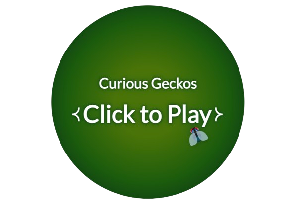 Click to play Curious Geckos