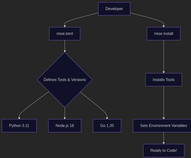 Mise workflow