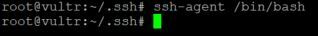 SSH Agent