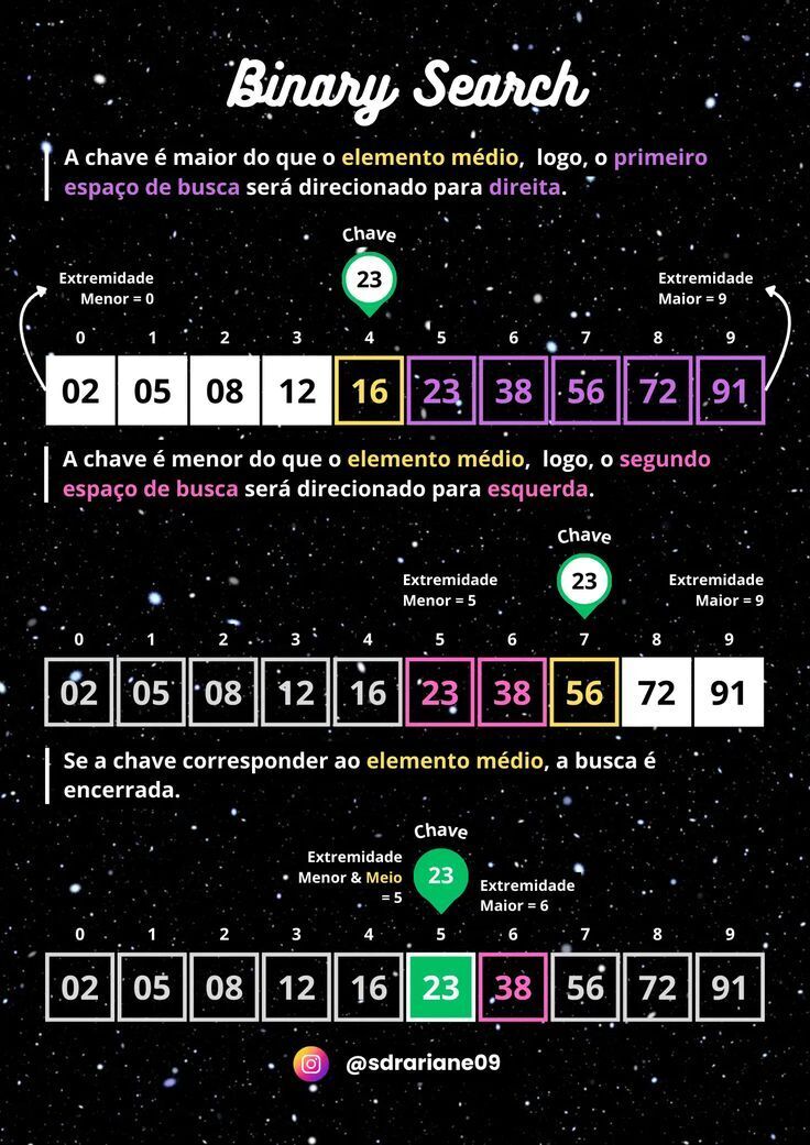 TOP 25 ALGORITMOS | Binary Search