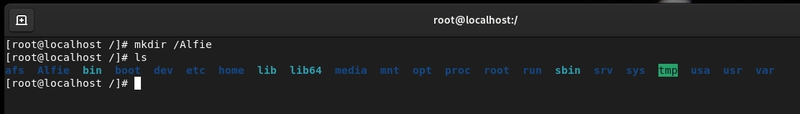 Linux Essentials: Taming Files & Directories Like a Terminal Boss