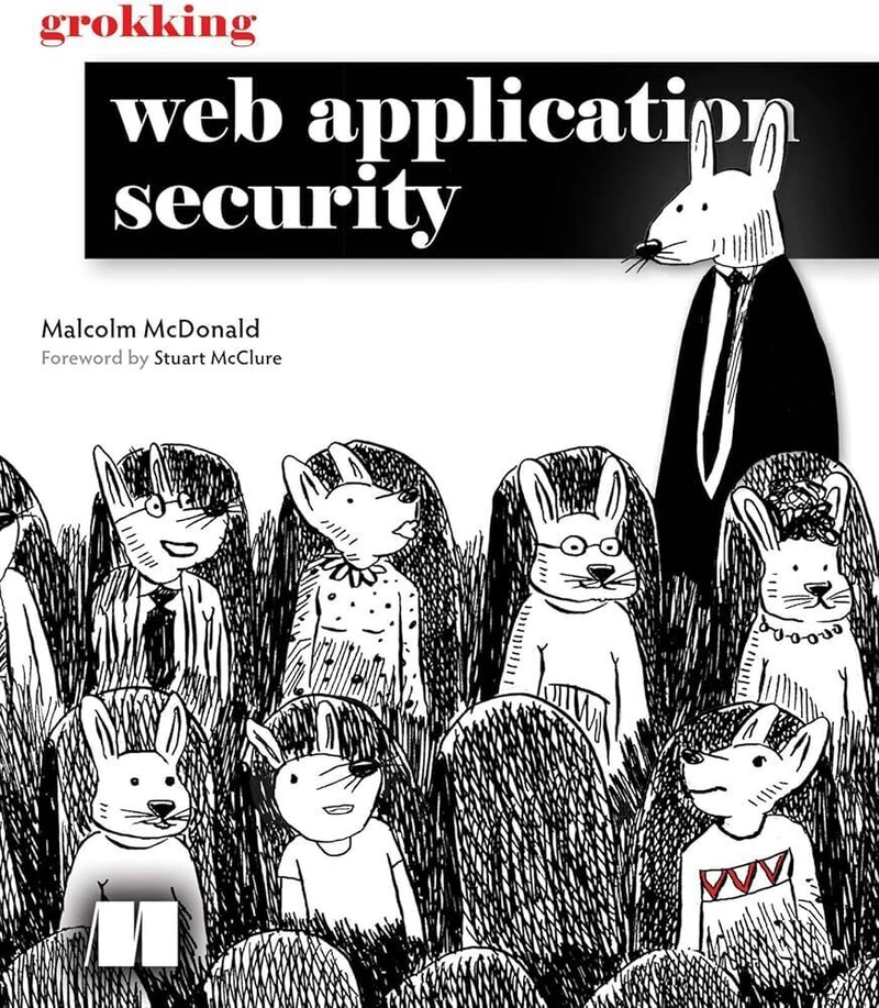 Is Grokking Web Application Security book worth it