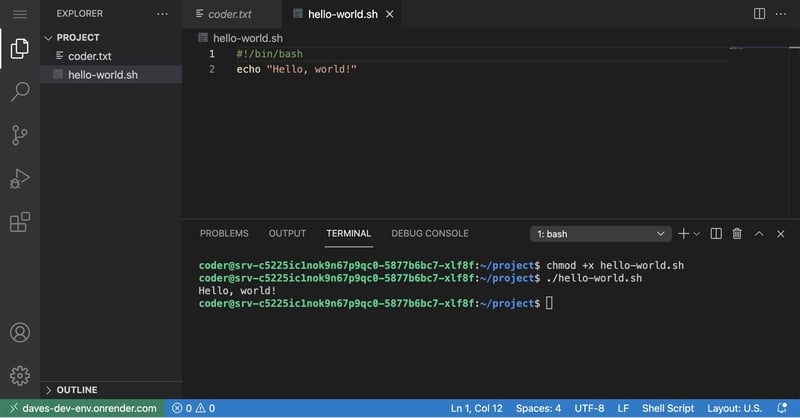 Screenshot of a hello world bash script in code-server