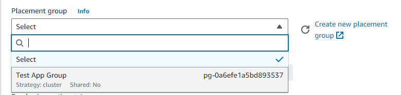 Implement placement group in EC2