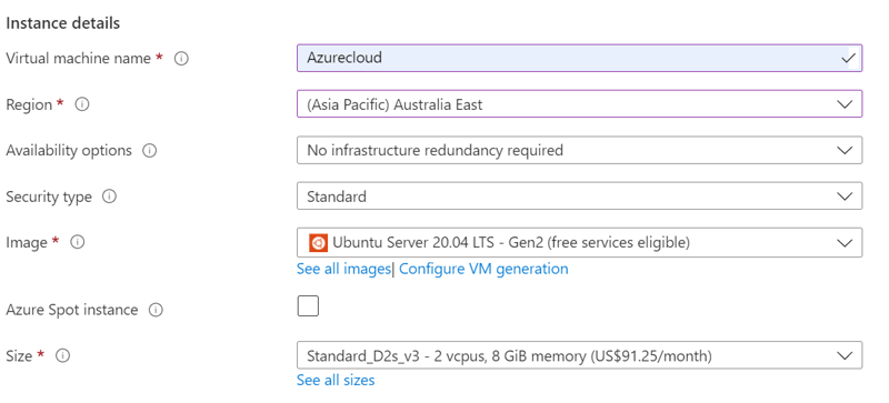 Instance details