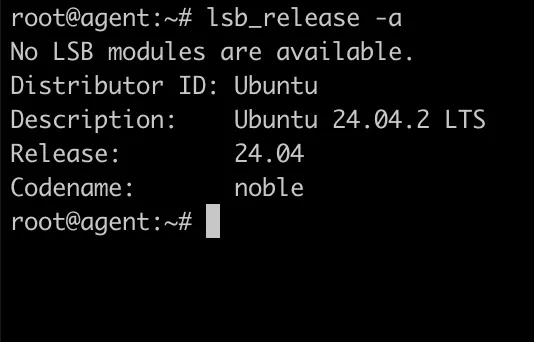 Install .NET SDK and Runtime on Ubuntu 24.04.2 LTS