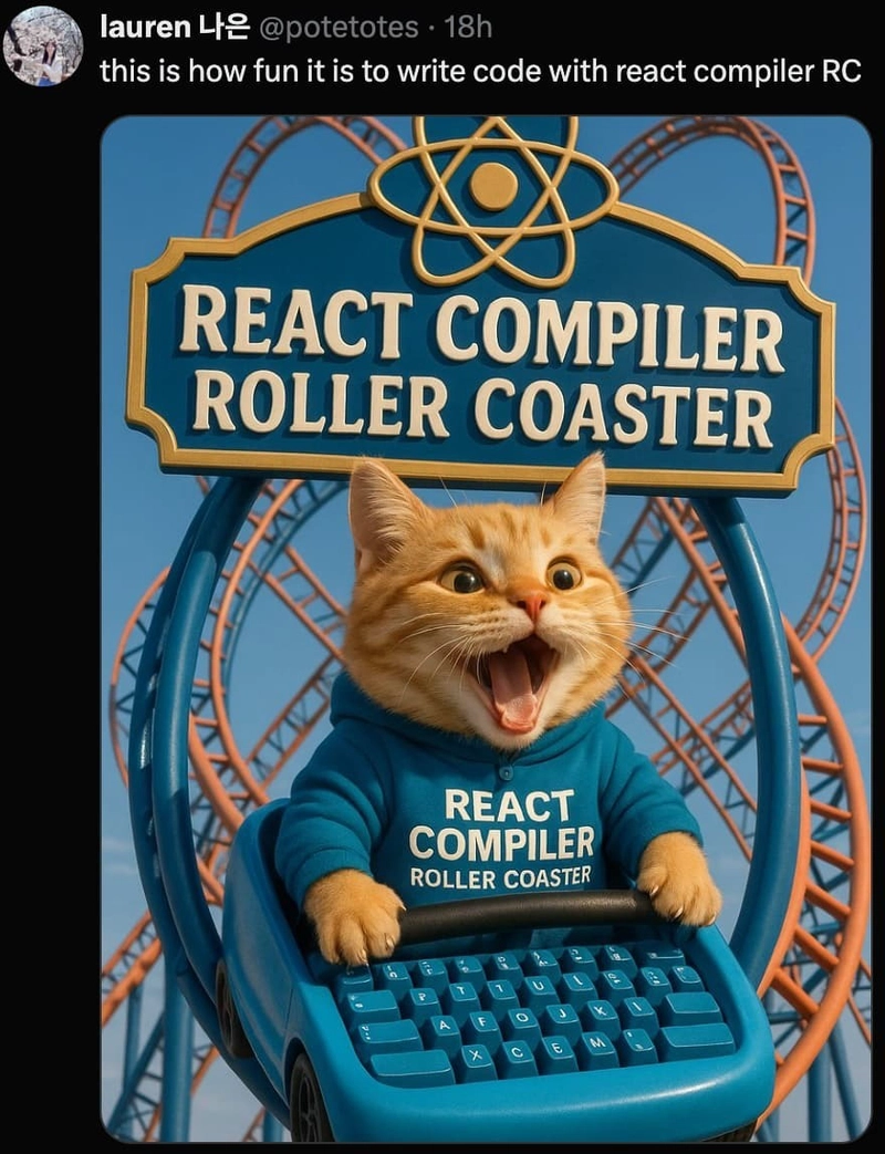 React Compiler RC meme - shows a cat in a React Compiler RollerCoaster