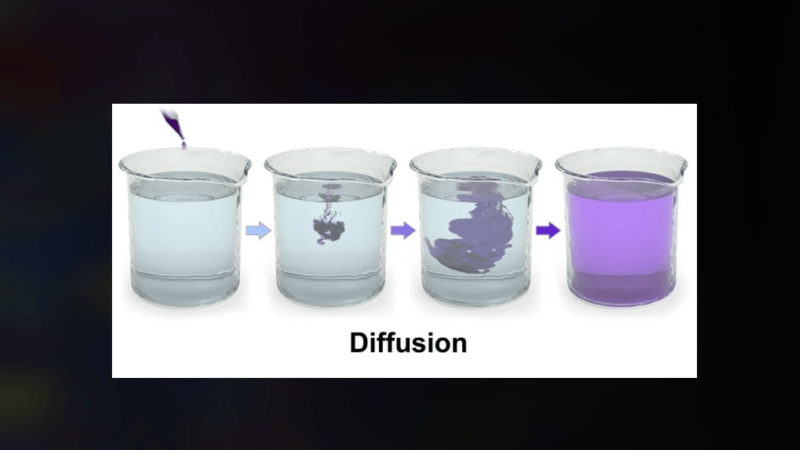 Diffusion image